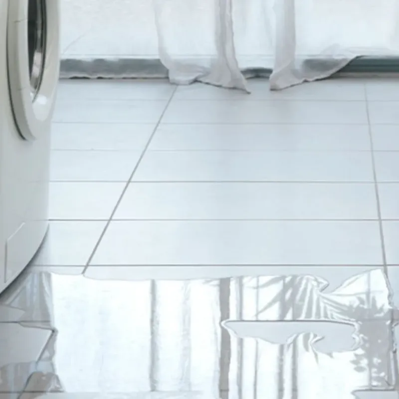 Appliance Leak Cleanup in Conway County, AR