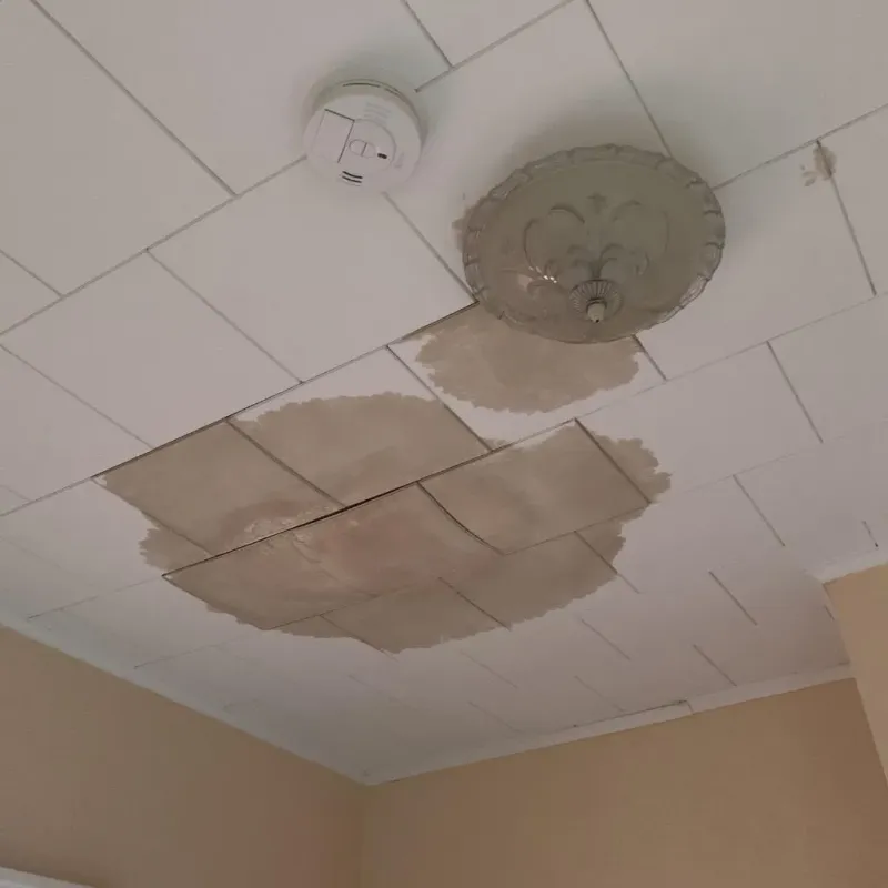 Ceiling Water Damage Repair in Conway County, AR