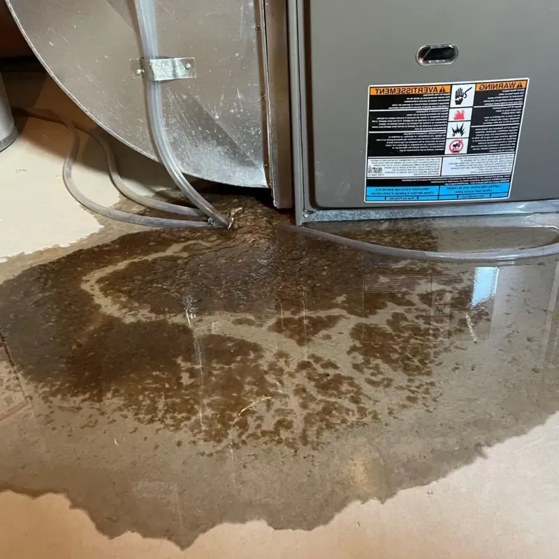 Pipe Burst and Leak Restoration in Conway County, AR